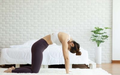 Cat Pose Yoga (Marjaryasana) – Benefits And Instruction You Can’t Ignore