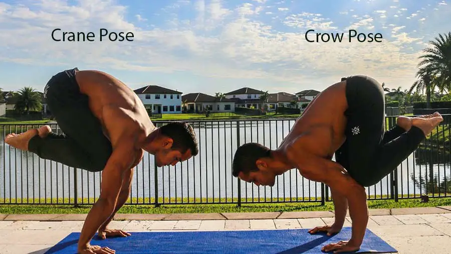 Sporty woman working out, doing arm balancing handstand yoga asana, One  Legged Crane Pose, Half Crow Pose, eka pada galavasana in front of large  window Stock Photo | Adobe Stock