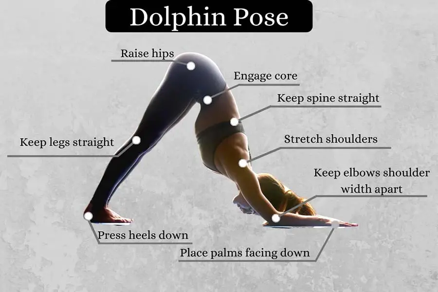 How To Practice Dolphin Posture