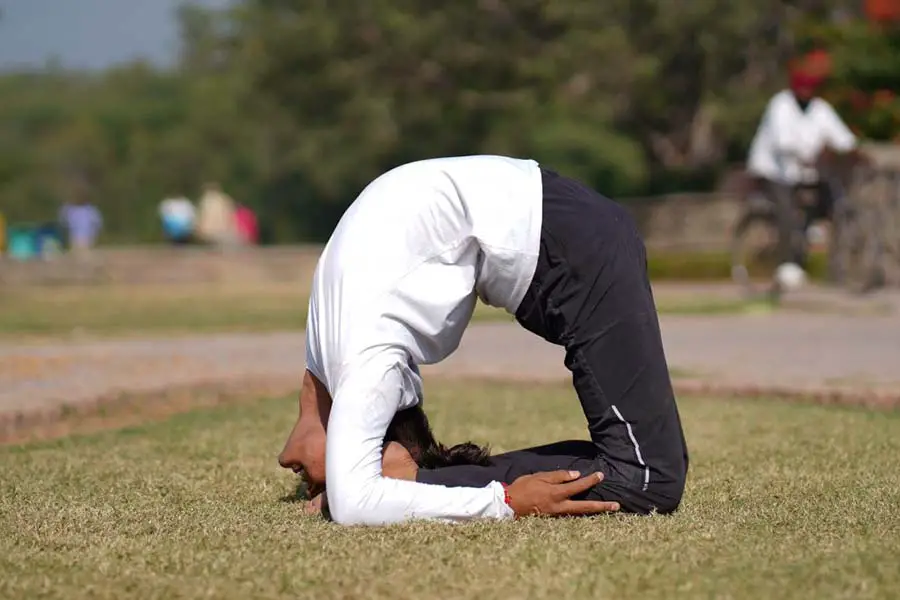 Kapotasana